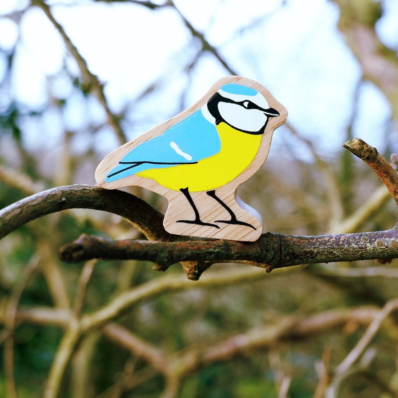 Lanka Kade Blue Tit