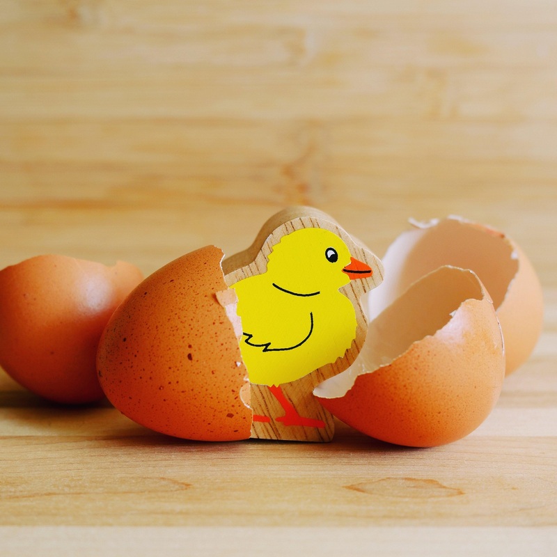 Lanka Kade Chick