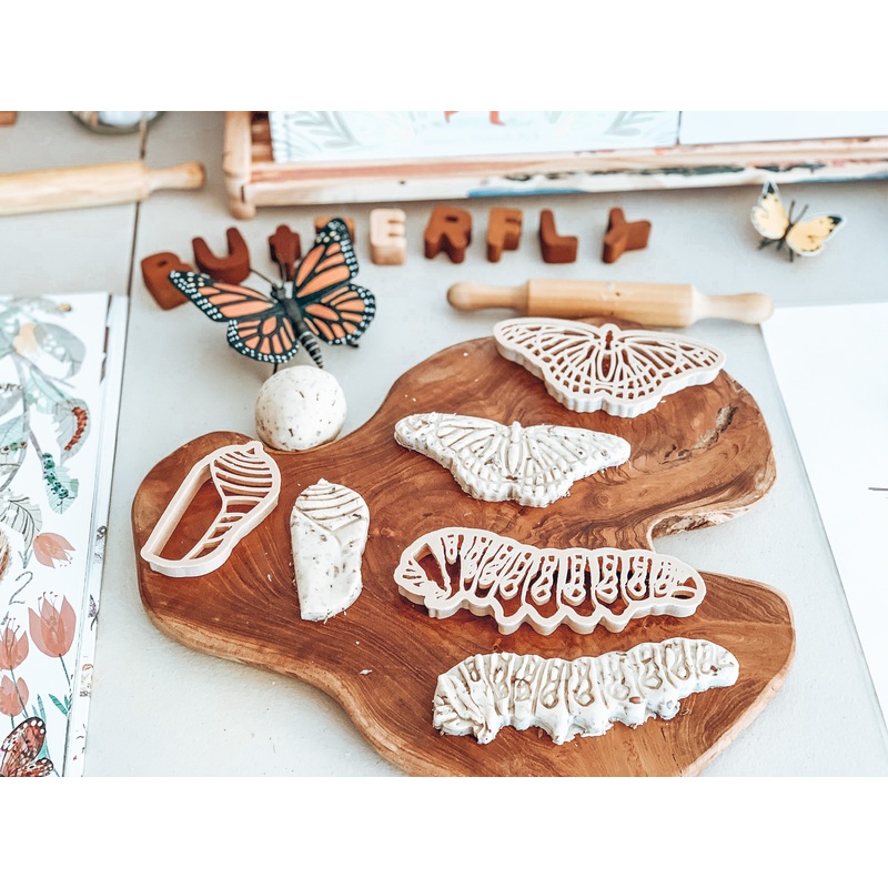 Kinfolk Pantry Butterfly Life Cycle Eco Cutter Set