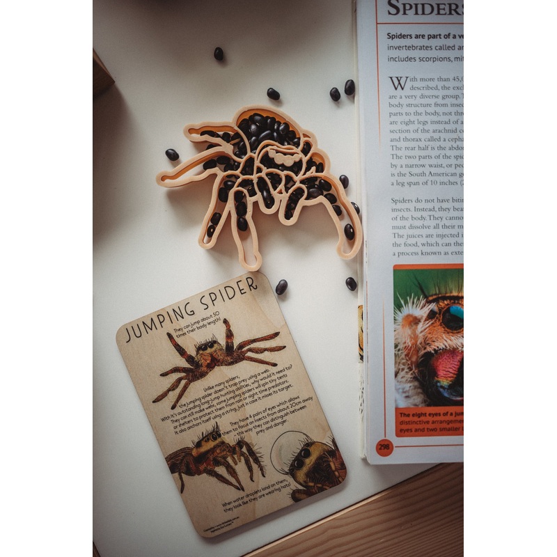 Kinfolk Pantry Jumping Spider Eco Cutter