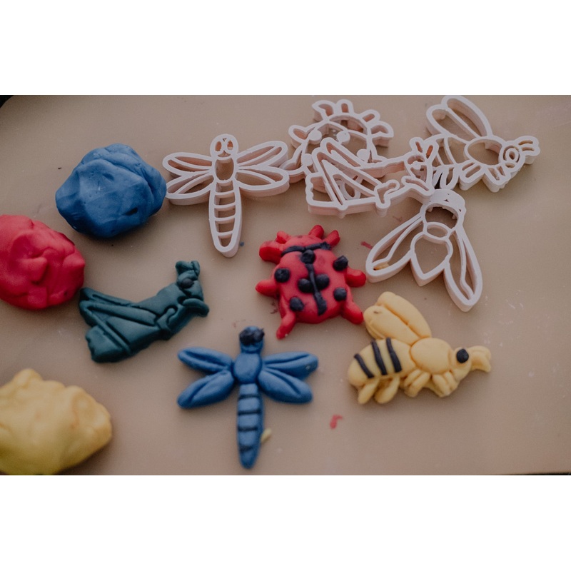 Kinfolk Pantry Mini Insects Eco Cutter Set