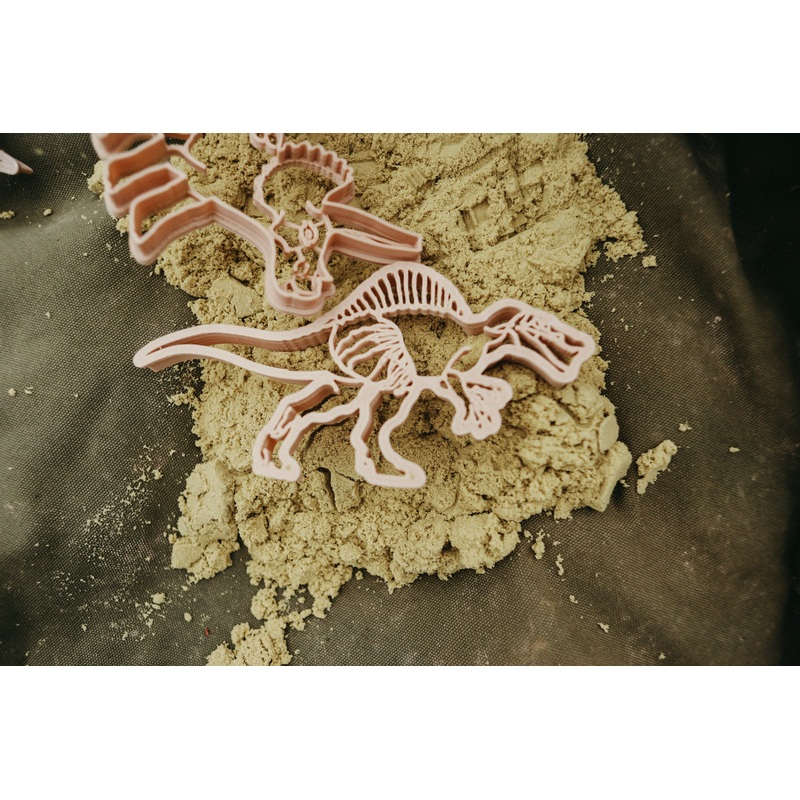 Kinfolk Pantry Spinosaurus Dinosaur Eco Cutter