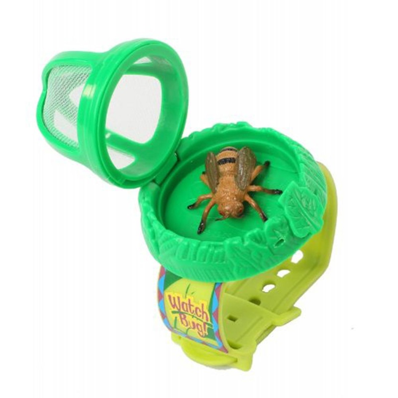 Insect Lore Watch A Bug