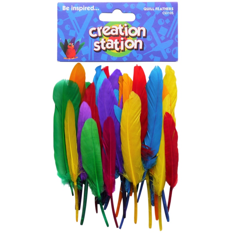 Creation Station Feathers, Quill, approx 14cm