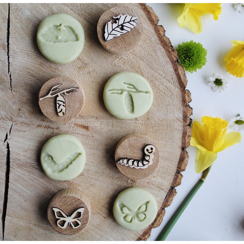 Curiosity Corner Oak Stamps - Butterfly Life Cycle Set