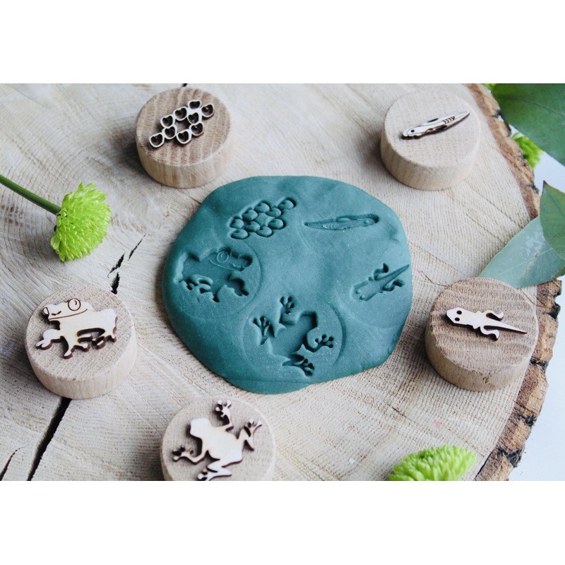 Curiosity Corner Oak Stamps - Frog Life Cycle