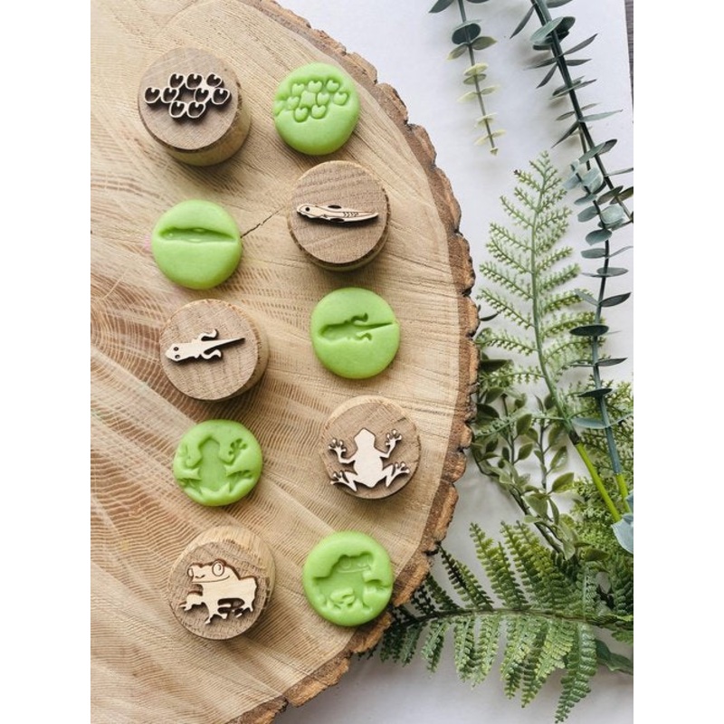 Curiosity Corner Oak Stamps - Frog Life Cycle Set