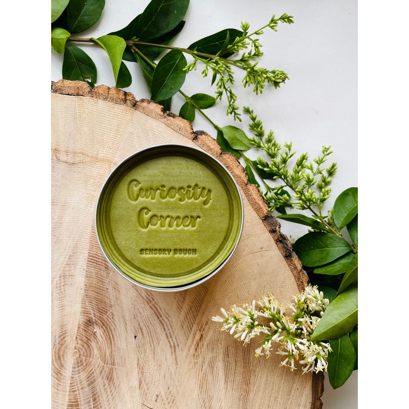 Curiosity Corner Sensory Dough 300g - Forest Moss Green