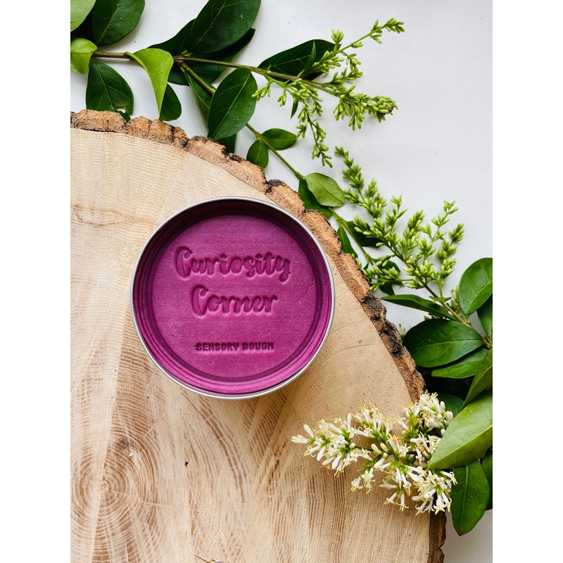 Curiosity Corner Sensory Dough 300g - Plum Thistle