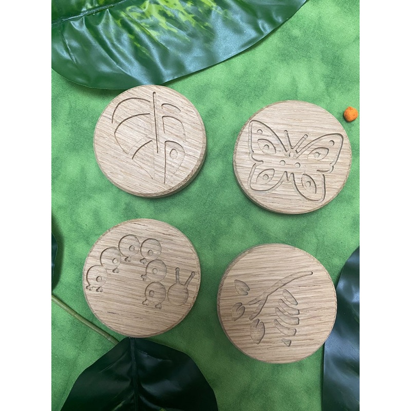 Circular Life Cycle Sensory Board Set Butterfly -  Oak