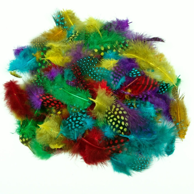 Creation Station Coloured Spotted Feathers