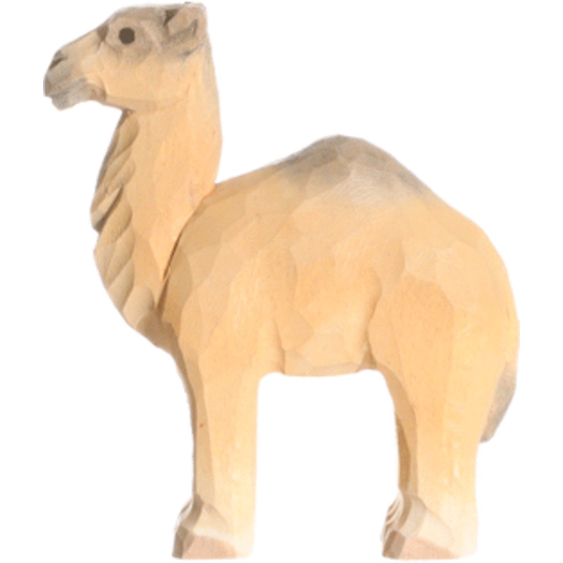 Wudimals Camel