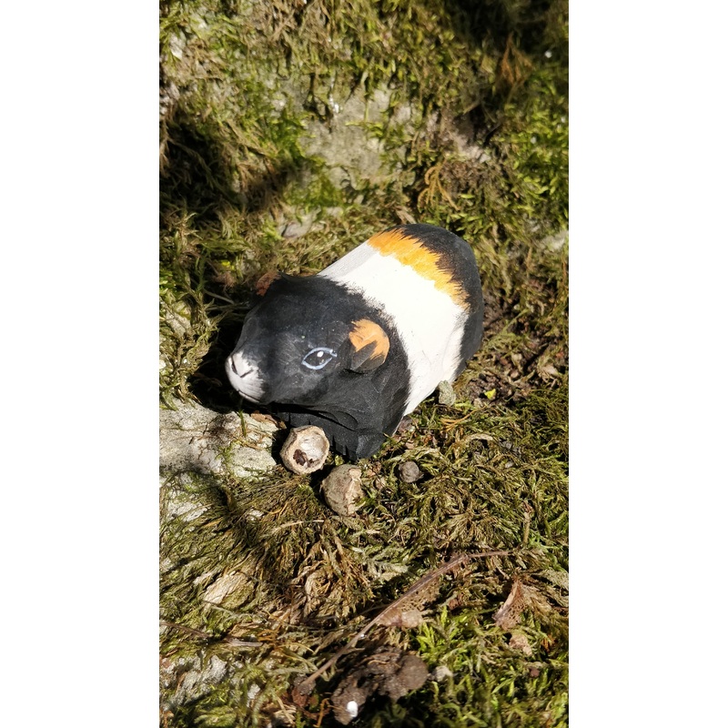 Wudimals Guinea Pig