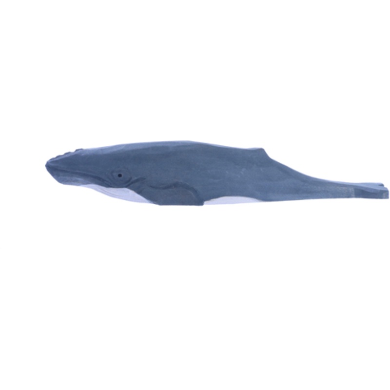 Wudimals Humpback Whale