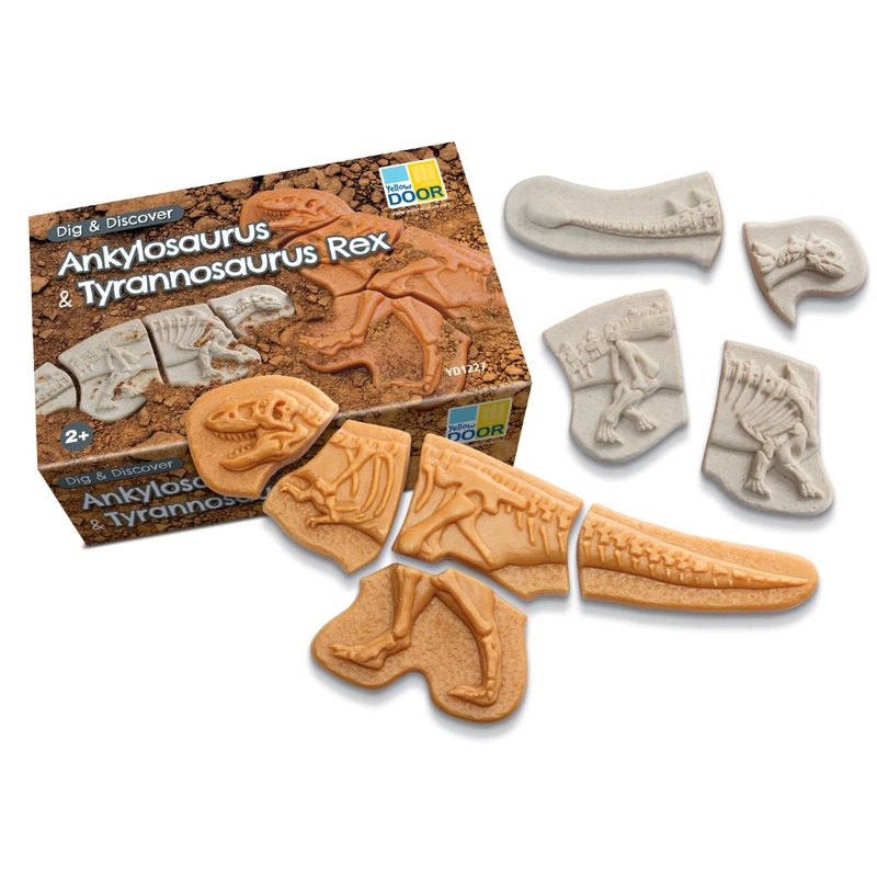 Yellow Door   Dig & Discover  Ankylosaurus & Tyrannosaurus rex