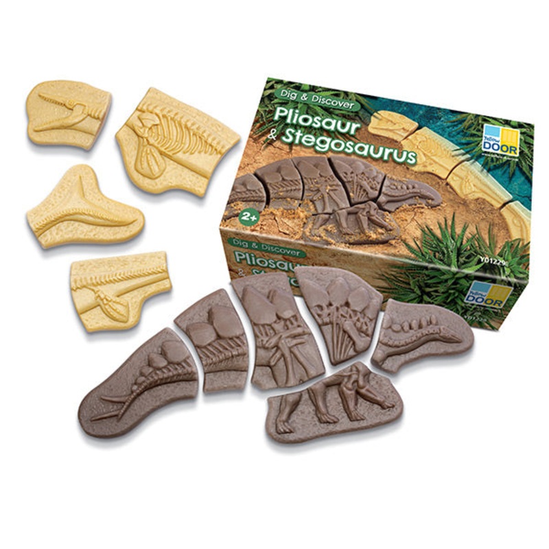 Yellow Door   Dig & Discover  Pliosaur & Stegosaurus