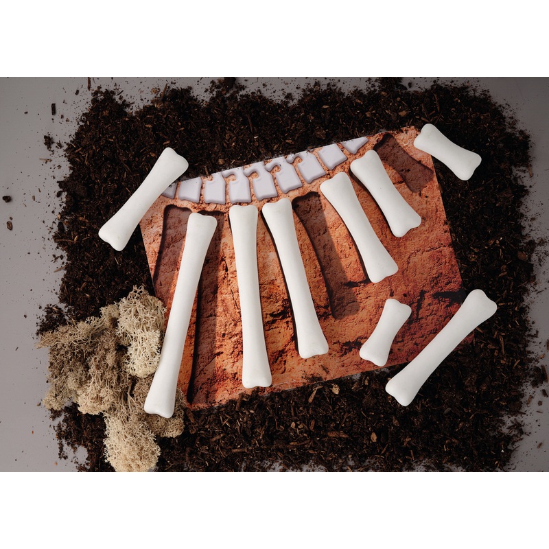 Yellow Door Dinosaur Bones Match and Measure Activity Cards