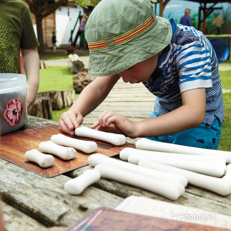 Yellow Door Dinosaur Bones Match and Measure Set