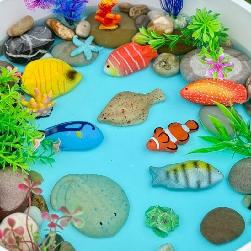 Yellow Door Fish  Sensory Play Stones