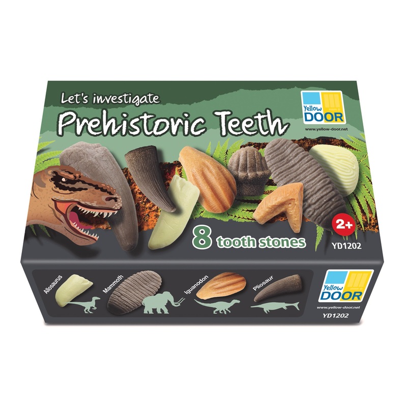 Yellow Door Lets Investigate - Prehistoric Teeth