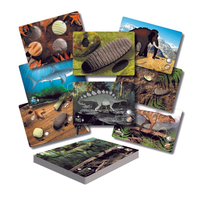 Yellow Door Lets Investigate  Prehistoric Teeth Activity Cards