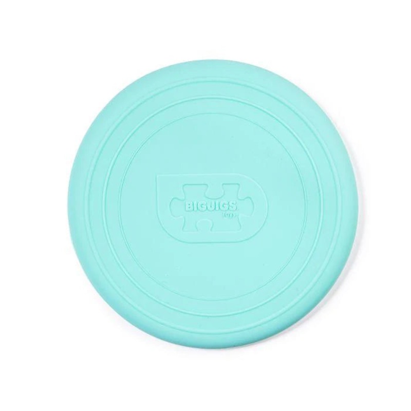 Bigjigs Flexible Flyer Eggshell Green