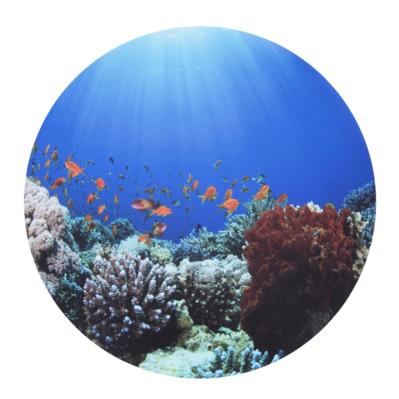 Tickit Under The Sea Discovery Play Mat