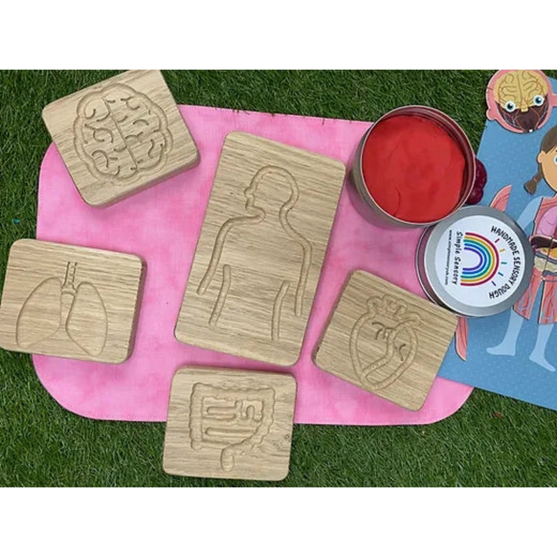 The Human Body Sensory Boards Oak - Set of 5