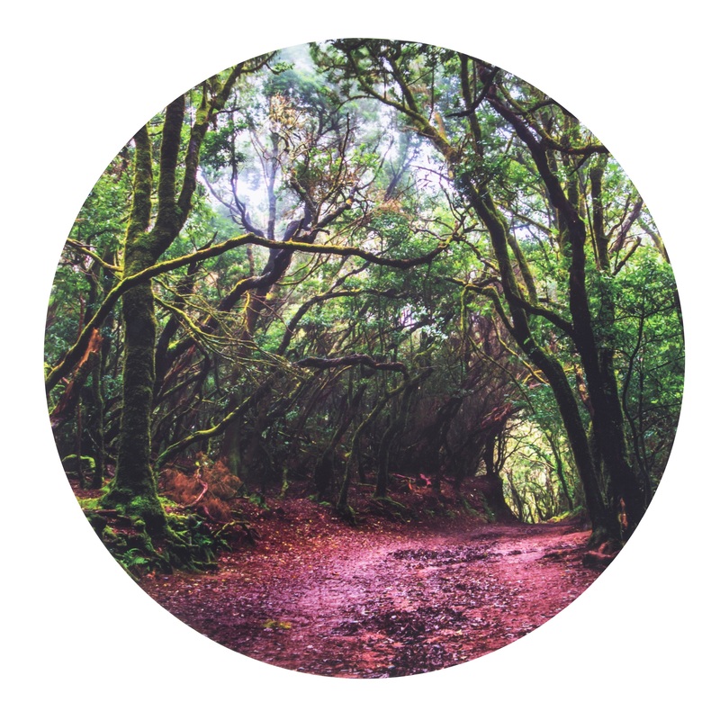 Tickit Forest Discovery Play Mat