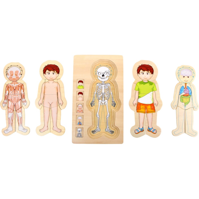 Small Foot Layer Puzzle Anatomy Boy
