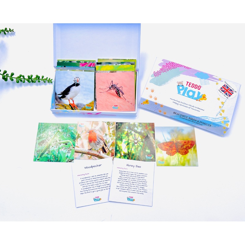 TEDDO PLAY 20 LEARNING CARDS MINI SET - BEAUTIFUL BIRDS & INSECTS (Lesser known facts)