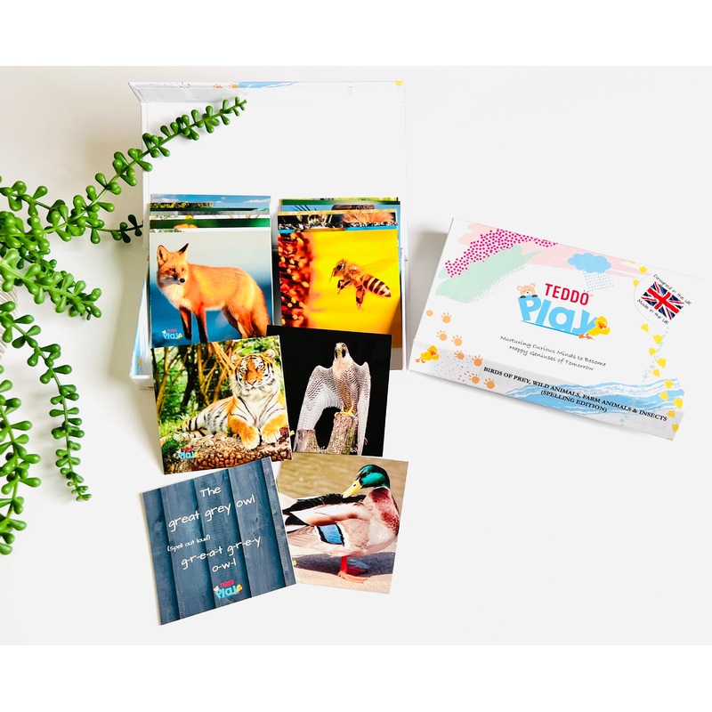 TEDDO PLAY 20 LEARNING CARDS MINI SET -Birds Of Prey, Wild Animals, Farm Animals & Insects (SPELLING EDITION)