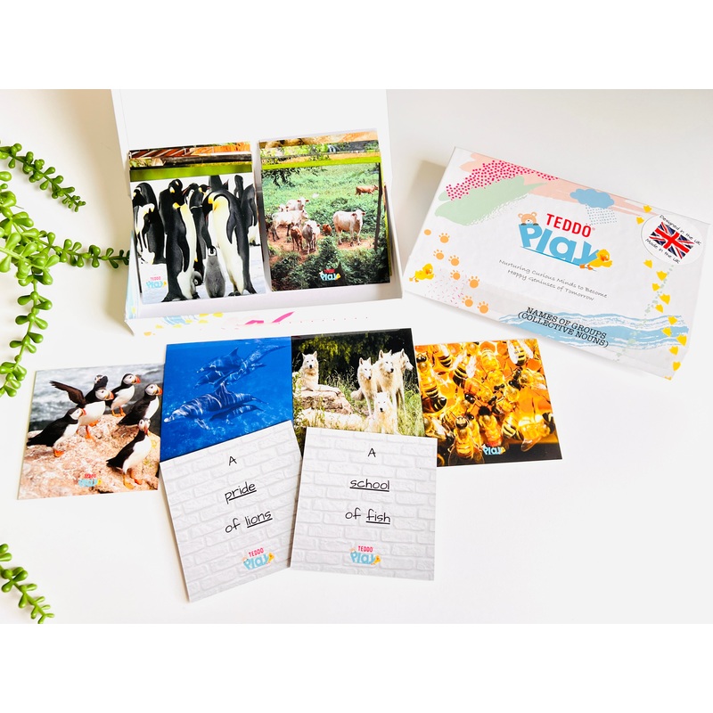 TEDDO PLAY 20 LEARNING CARDS MINI SET - Names of Groups - Collective Nouns