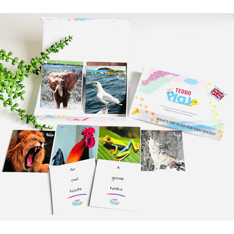 TEDDO PLAY 20 LEARNING CARDS MINI SET - Whats the word for that Sound