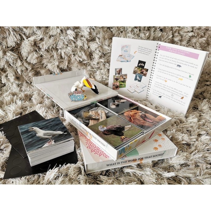 TEDDO PLAY 40 LEARNING CARDS - WHAT IS THE WORD FOR THAT SOUND?