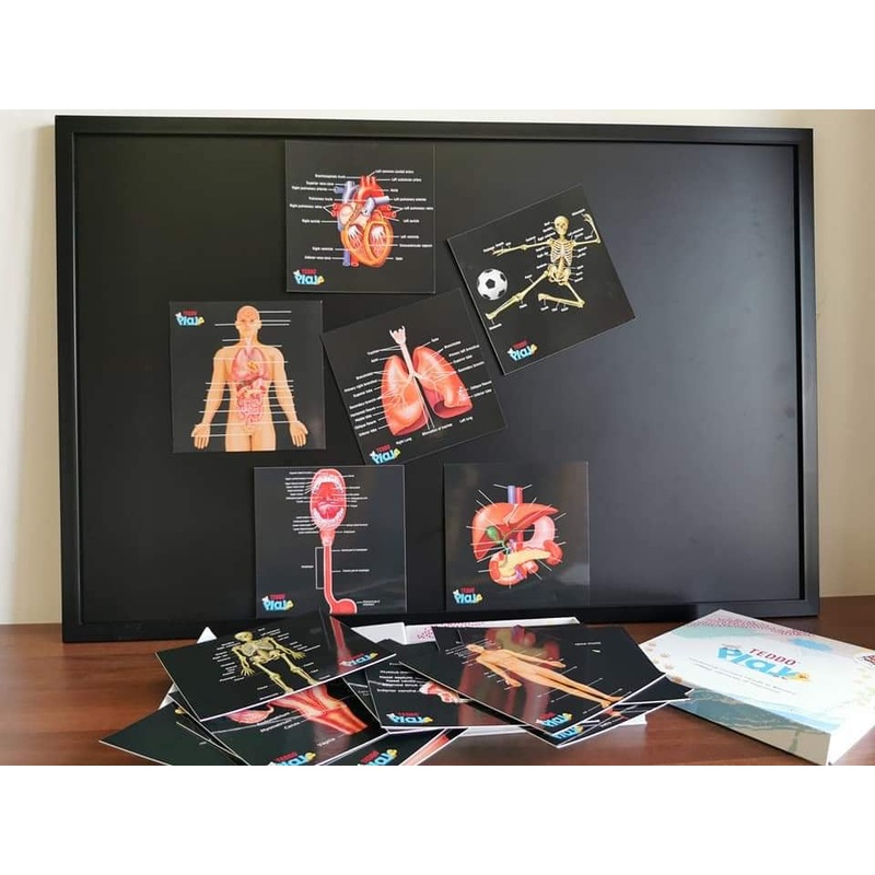 TEDDO PLAY HUMAN ANATOMY LEARNING SET - OUR BODIES INSIDE & OUT