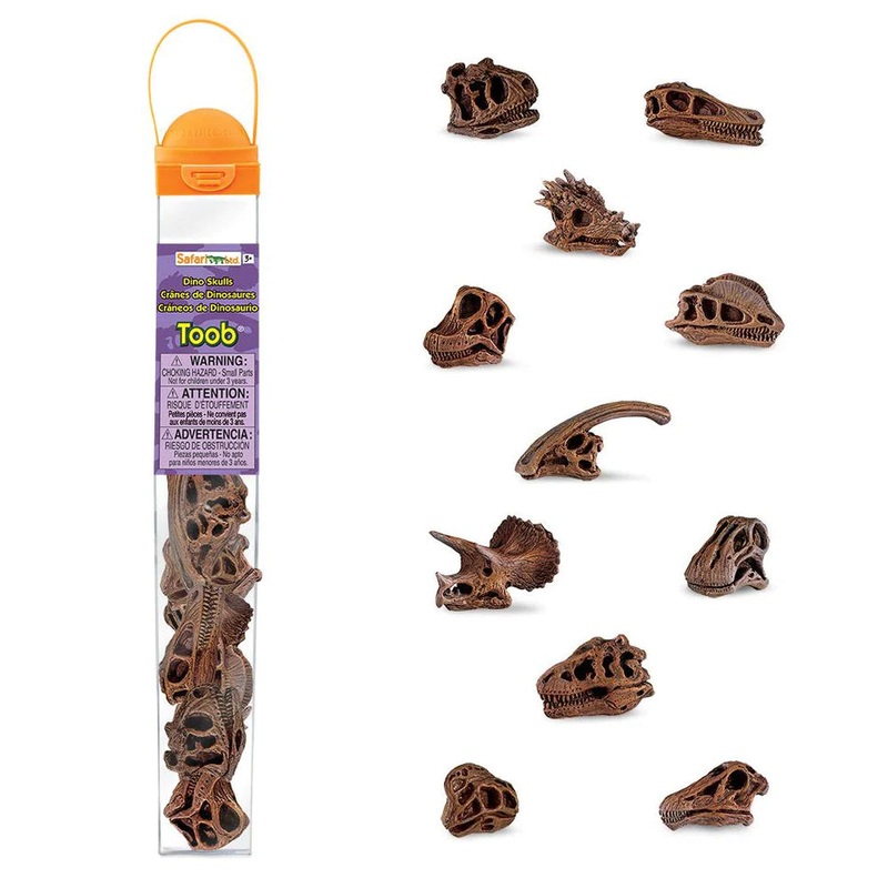 Safari Ltd Dinosaur Skulls TOOB