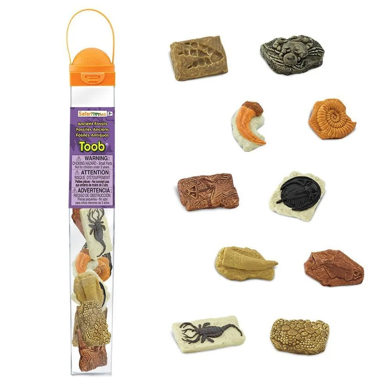 Safari Ltd Fossils TOOB