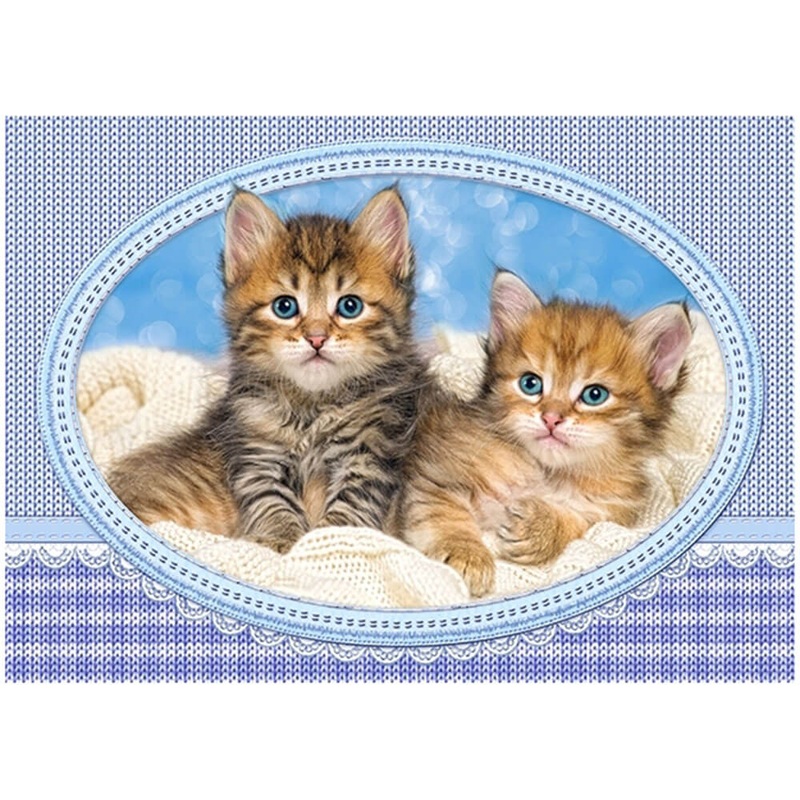 Castorland Kittens Curling Up Couverture Puzzle 120PCS